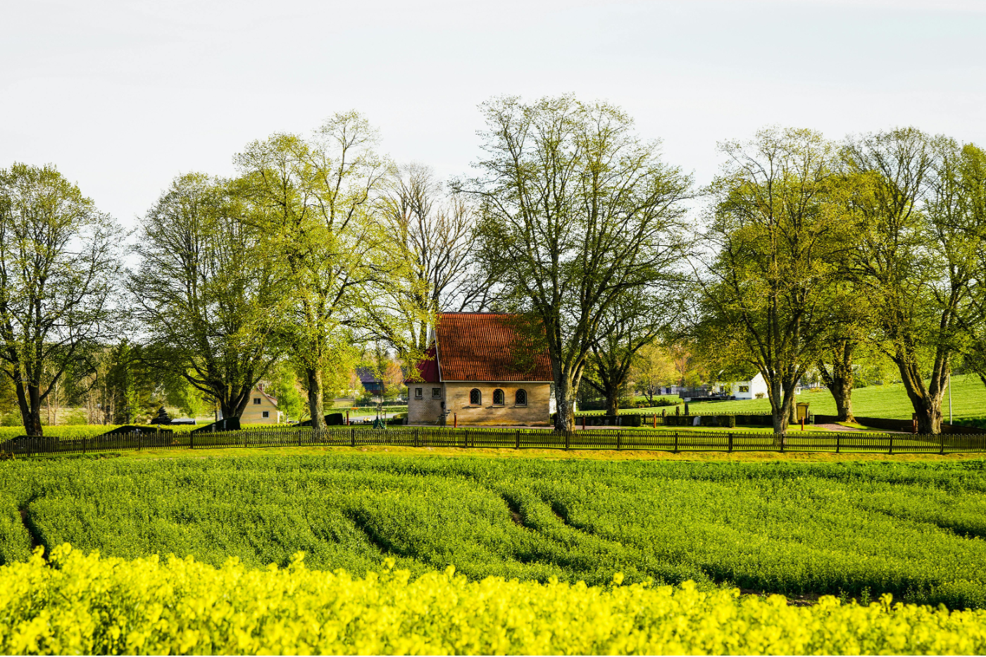 Farmland during spring time