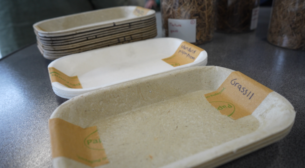 Grass packaging trays prototypes developed by PaperFoam for the Rural BioReFarmeries project